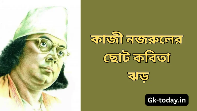 কাজী নজরুলের ছোট কবিতা ঝড় | Kaji Nazrul Choto Kobita Jhor